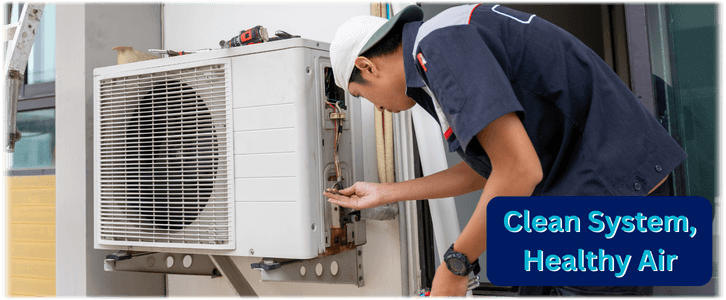 HVAC Mold Removal Mclean VA